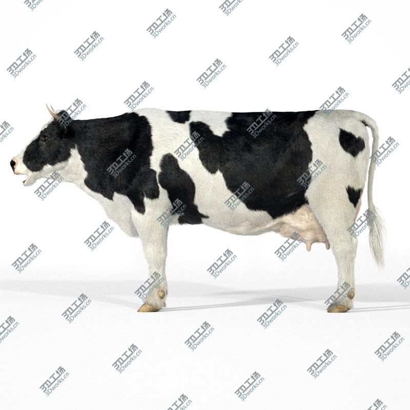 images/goods_img/202104091/Cow - realistic - rigged and animated/4.jpg